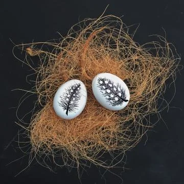 Two painted eggs in a nest for Easter Stock Photos