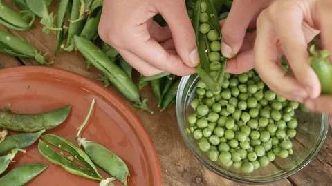 Two pair of hands removing peas from their pods Stock Footage 129709112