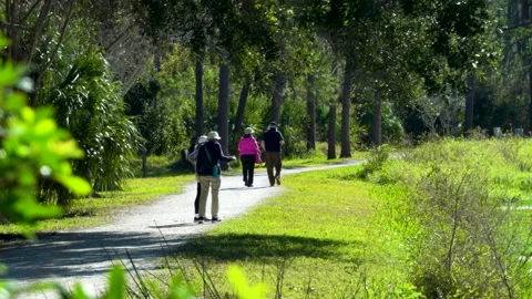 Two Pairs of Seniors Walking on Pathway in Park Stock Footage 169764513