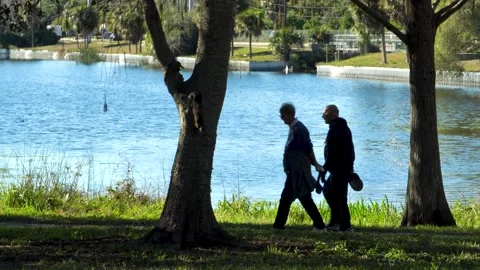 Two Pairs of Seniors Walking on Pathway in Park Stock Footage 169770929