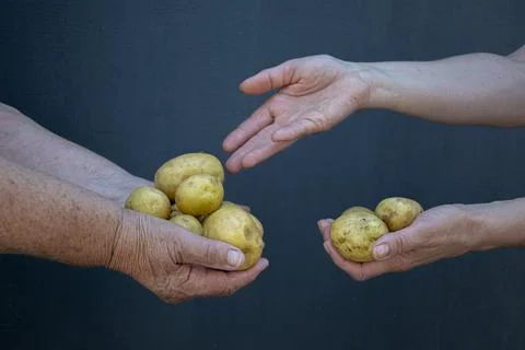 Two pairs of women's hands of different ages. Joint activities in cooking. Stock Photos