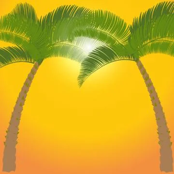 Two palm tree on orange background. illustration Stock Illustration