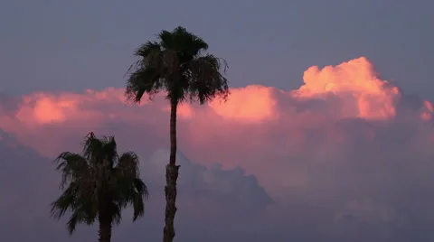 Two palm trees and pink sunset thunderstorm clouds in Southern California 스톡 동영상 56202820