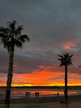 Two palm trees on the beach at sunset, with people walking on the sand Stock Photos