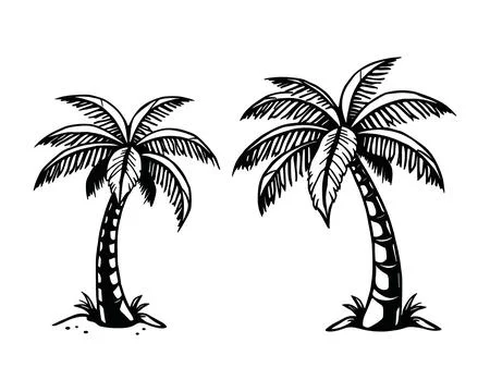 Two Palm Trees Black and White Tropical Island Design イラスト素材