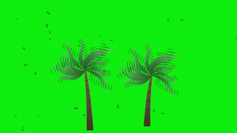 Two palm trees blowing in the wind during a tropical storm with leaves flyi.. Stock Footage 341180139