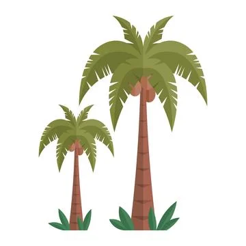 Two palm trees with coconuts and green fronds, standing side by side, tropi.. Stock Illustration