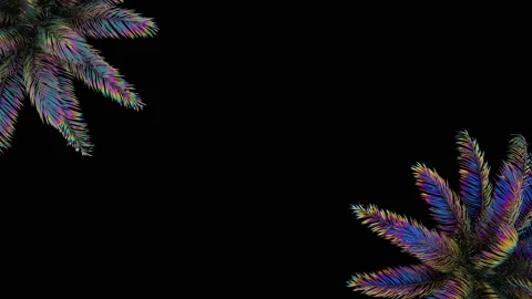 Two palm trees in different corners of the screen on a black background. One Video stock 122881197