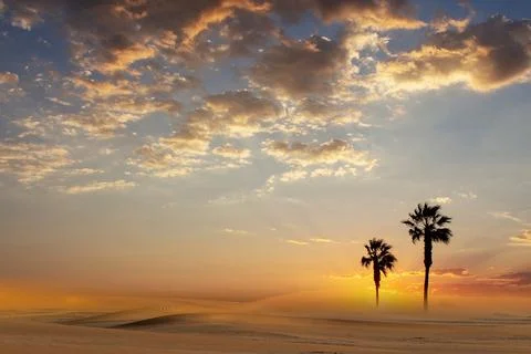Two Palm trees, heavy dramatic clouds and bright sky. Beautiful African sunse Stock Photos
