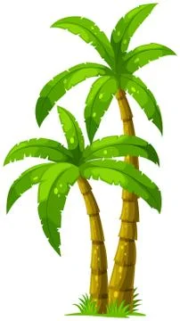 Two palm trees Stock Illustration