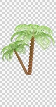 Two palm trees isolated on white background. Illustrazione stock