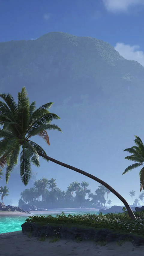 Two palm trees lean toward clear water at a tropical beach Stock Footage 337901270