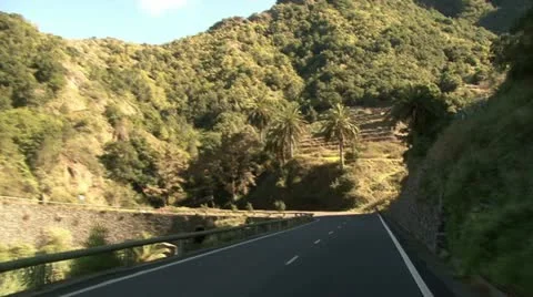 Two palm trees in the mountains of Spain Video stock 12050492