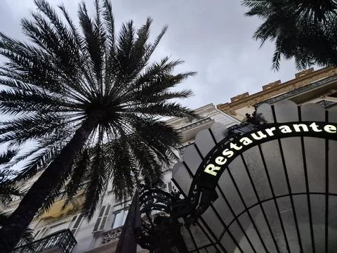 Two palm trees as seen from the bottom Stock Photos