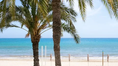 Two palm trees shaking on wind in front of empty sandy beach and Mediterranean Stock Footage 154913207