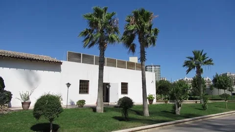 Two palm trees standing in front of white building Video stock 137297479