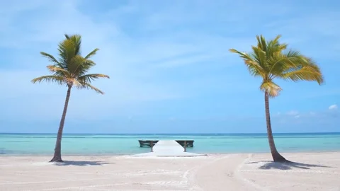 Two palm trees on the white sand on a beach on an island Видео 132529890