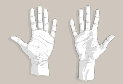 Two palms sketch Stock Illustration