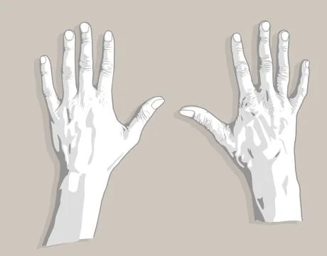 Two palms sketch Stock Illustration