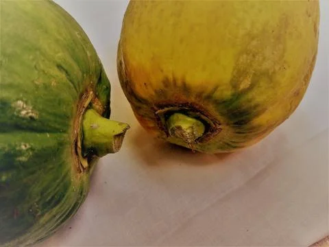 Two Papaya side by side. Stock Photos