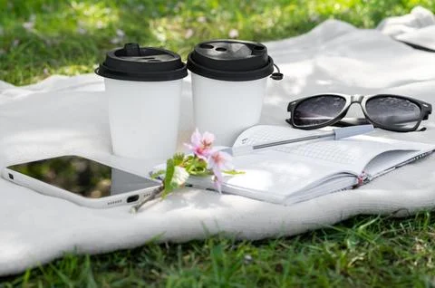 Two paper cups of coffee or tea and a sakura branch on a light blanket, a not Stock Photos