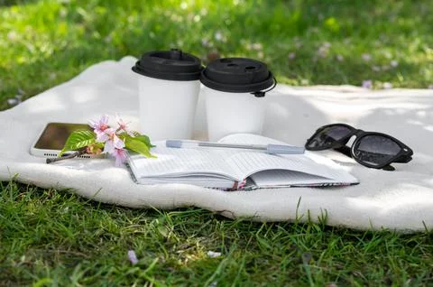 Two paper cups of coffee or tea and a sakura branch on a light blanket, a not Stock Photos