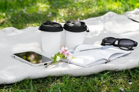 Two paper cups of coffee or tea and a sakura branch on a light blanket, a not Stock Photos