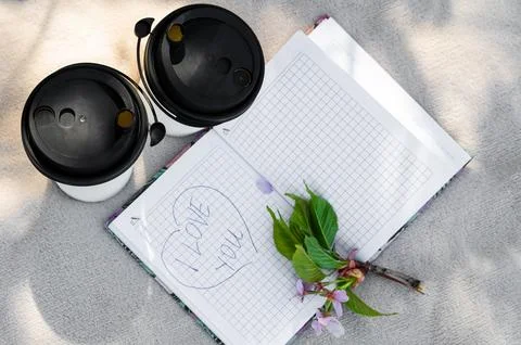 Two paper cups of coffee or tea and a sakura branch on a light blanket, a not Stock Photos