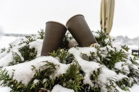 Two paper cups for coffee on a snow bush near a winter cafe Stock Photos