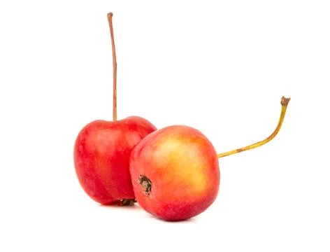 Two paradise apple Stock Photos