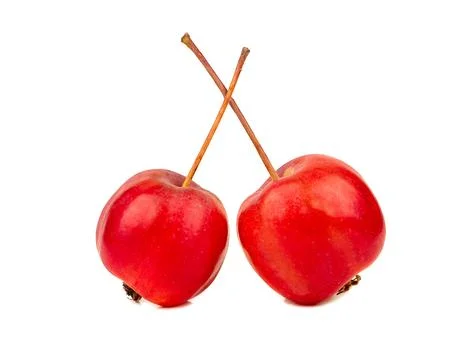 Two paradise apple Stock Photos