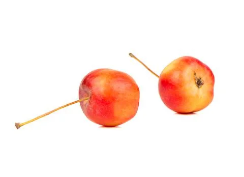 Two paradise apple Stock Photos