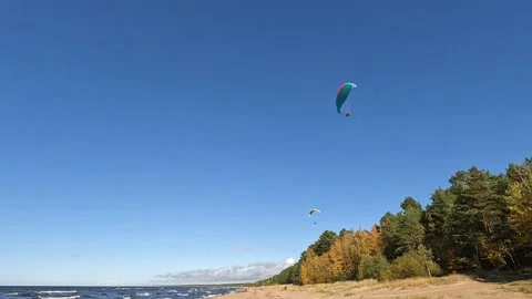 Two paragliders gliding above the trees at the Baltic beach by the sea Video stock 218978339