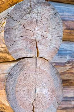 Two parallel logs pine log house house end of the trunk cracked close-up Stock Photos