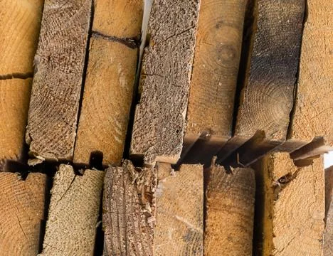 Two parallel rows of wooden boards cut end close-up rustic base base natural Stock-Fotos