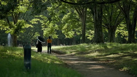 Two in a Park in the Summer Stock Footage 209393688