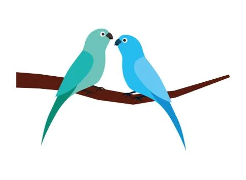 Two parrots bird on branch 스톡 일러스트
