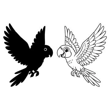 Two parrots in mid flight facing each other Stockillustratie