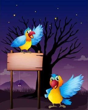 Two parrots near an empty board Stock Illustration