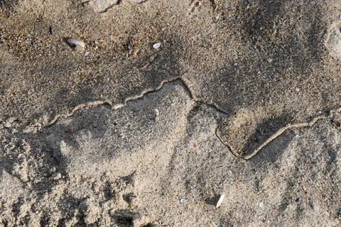 Two-part clear sand surface consists of wet sand and dry sand Stock-Fotos