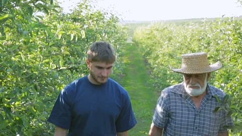 Two partners are farmers going their own plantation 動画素材 77995014