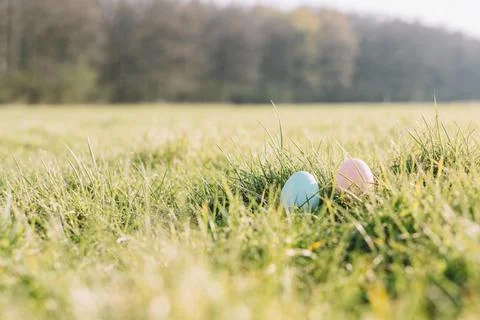Two pastel Easter eggs hidden in lush green grass on a sunny spring day Foto stock