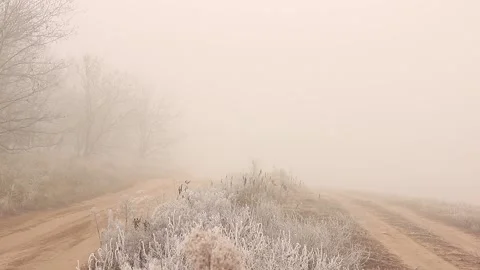 Two path Stock Footage 167071759