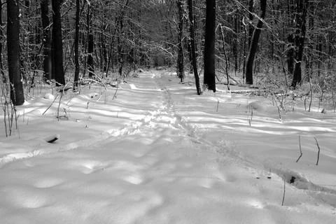 The two paths converge in the snow in one Stock Photos