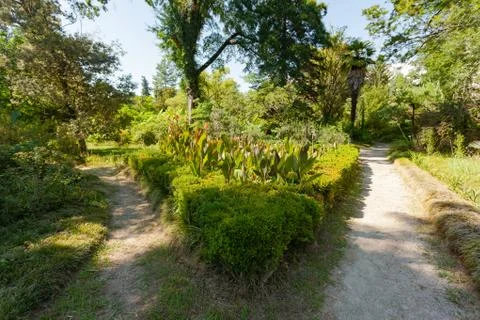 Two paths diverge in different directions Stock Photos