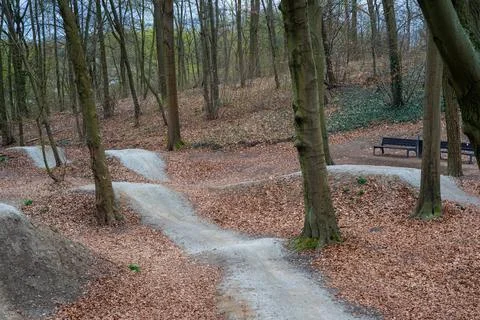 Two paths with hills winding through the trees. Routes for cyclists. Stock Photos