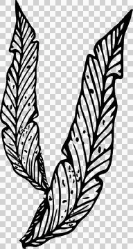 Two patterned feathers are forming stylized V shape in line-art on transparent Stock Illustration