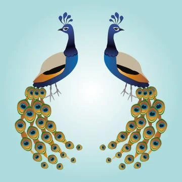 Two Peacocks Illustrazione stock