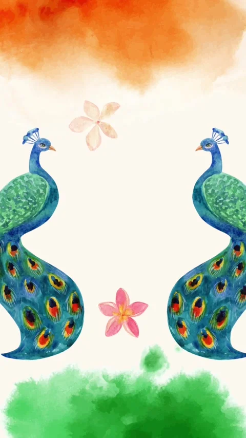 Two Peacocks with Indian Flag Colors and Flowers Stock Footage 313483214