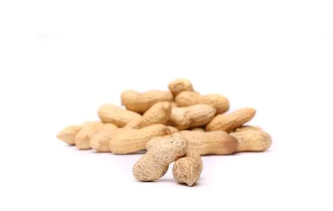 Two peanuts Stock Photos